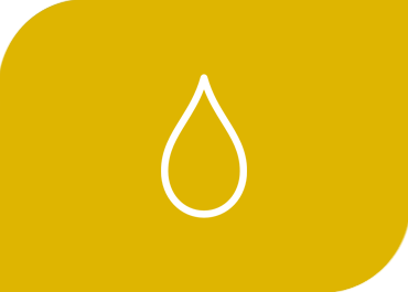 Biodiésel en Monterrey